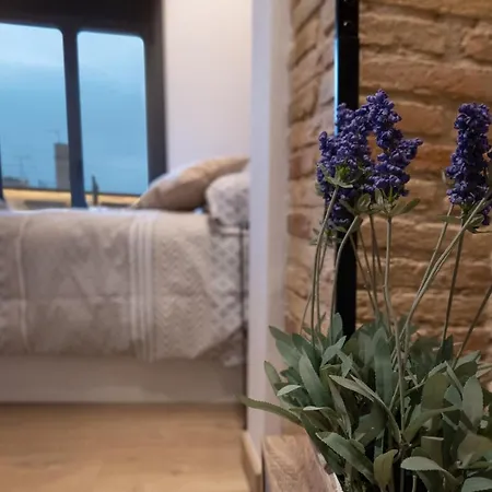 Niu Del Sol Apartment Vic