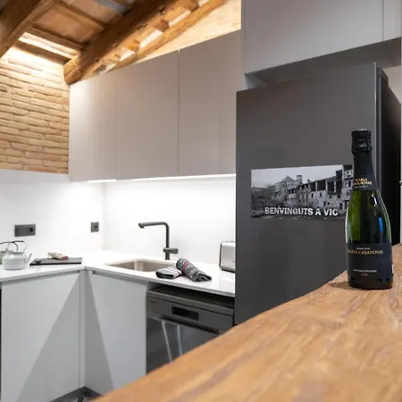 Apartamento Niu Del Sol Vic